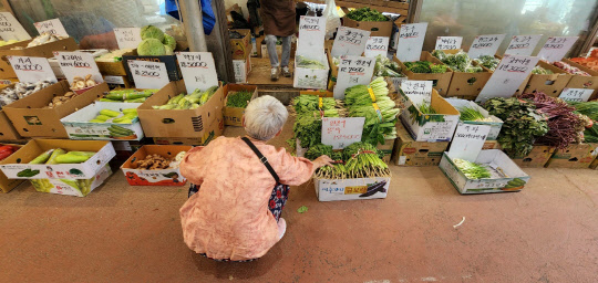 24일 서울 한 재래시장에서 한 어르신이 앉아서 물건을 사고 있다.<연합뉴스>